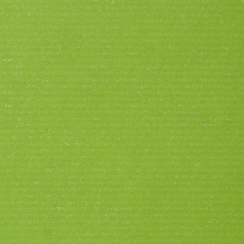 Carta Sealing Bianco ECOWHITE Gr.60 Fogli Cm.70x100 Colori Tinta Unita (al Kg.) Verde