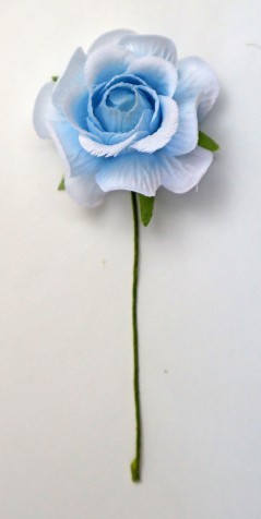 Rosa Vesuvio 5 cm pz.36 azzurro