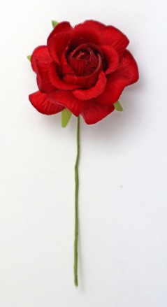 Rosa Vesuvio 5 cm pz.36 rosso