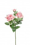 Rosa Hamilton 3 fiori