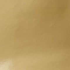 Carta Monopatinata Plastificata GLOSSYLUX  Gr.90 Fogli Cm.70x100 Colori Tinta Unita (al Kg.) Oro