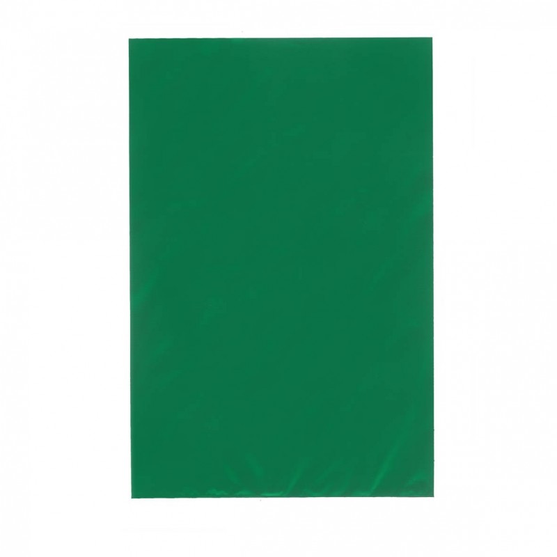 Busta Regalo Polipropilene Colorato Metallizzato Opaco Confezione 50 Pezzi Verde