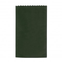 Busta Regalo Tessuto Non Tessuto TNT Colorata Confezione 25 Pezzi Verde